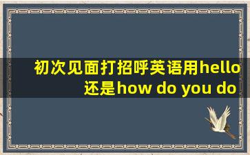 初次见面打招呼英语用hello还是how do you do